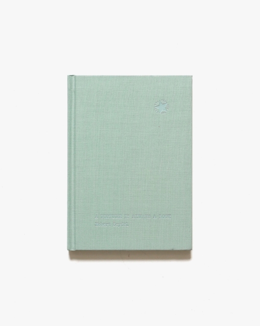 A Picture Is Always a Book | Robert Seydel