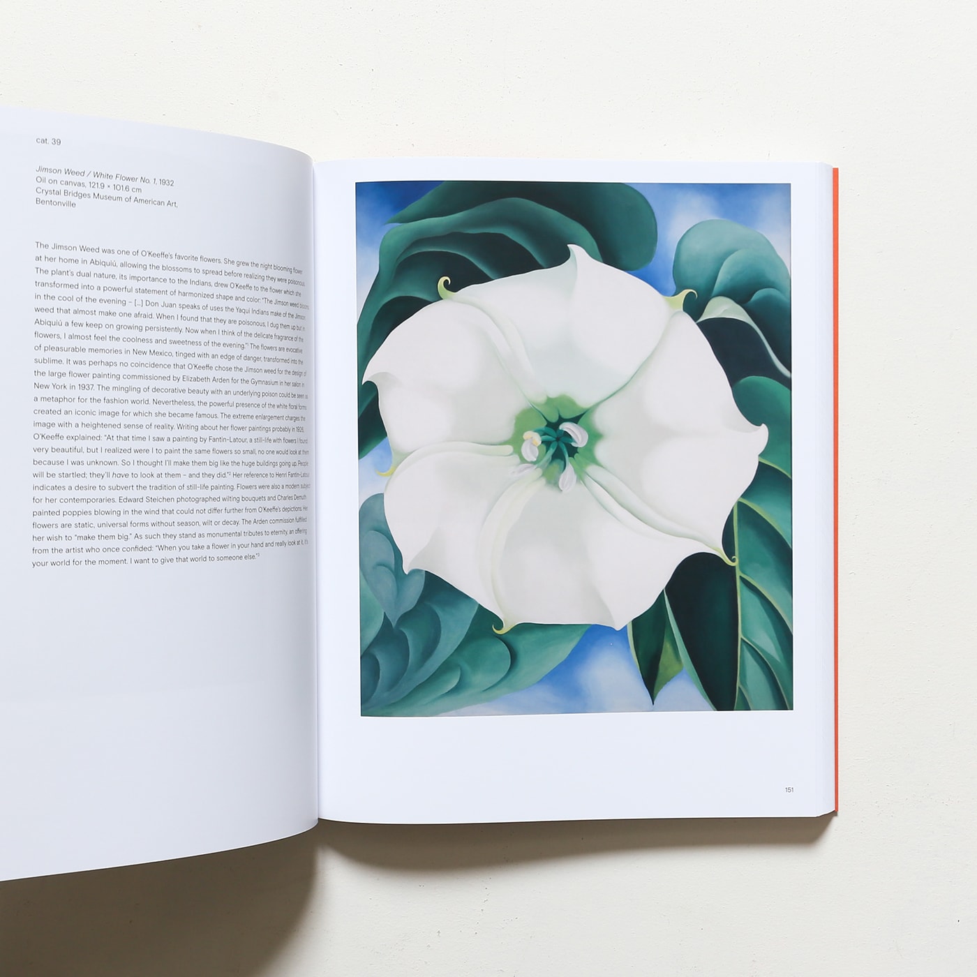 ボタニカルアート洋書THE GEORGIA O'KEEFFE MUSEUM ジョージア