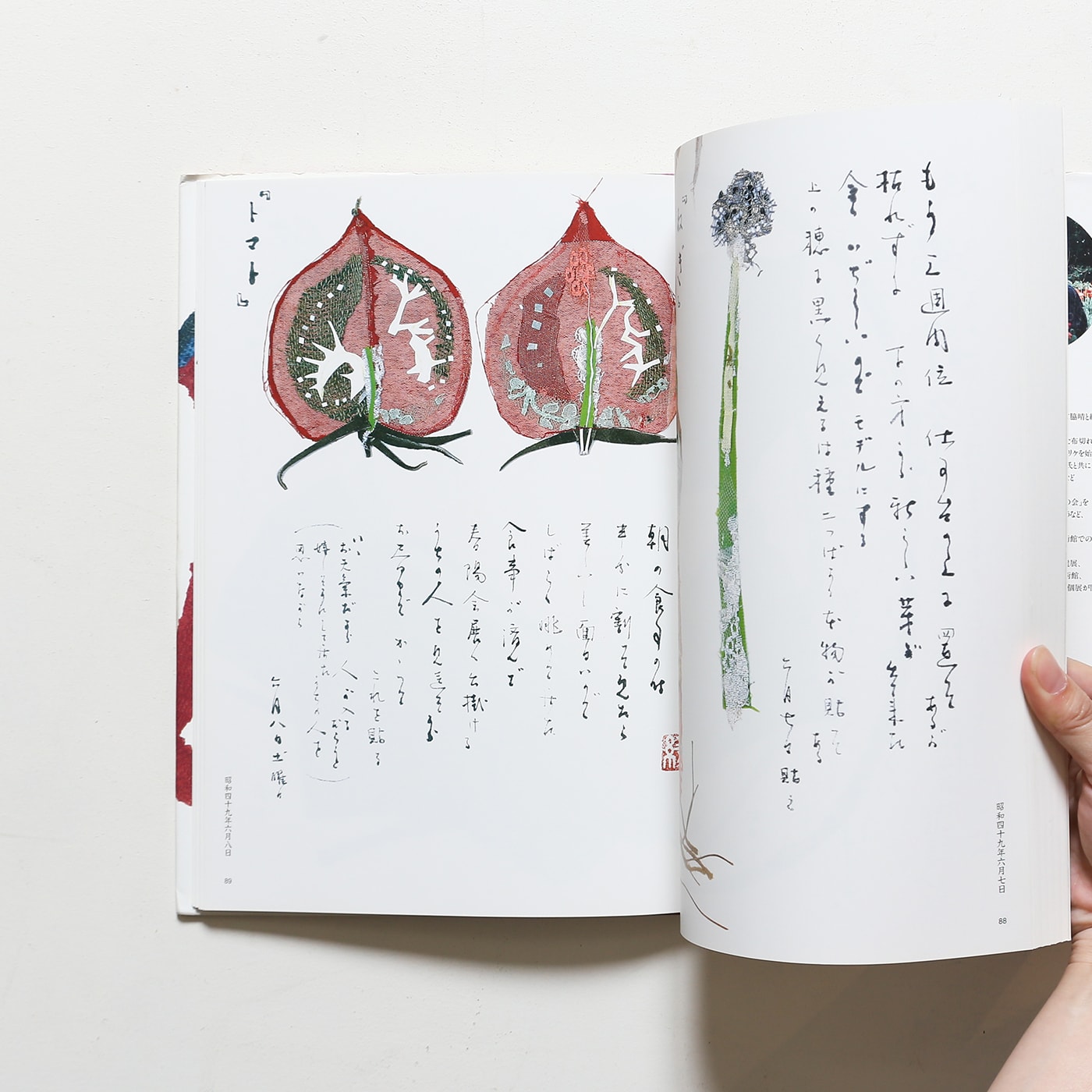 はりえ日記 2巻セット| 宮脇綾子 | nostos books ノストスブックス