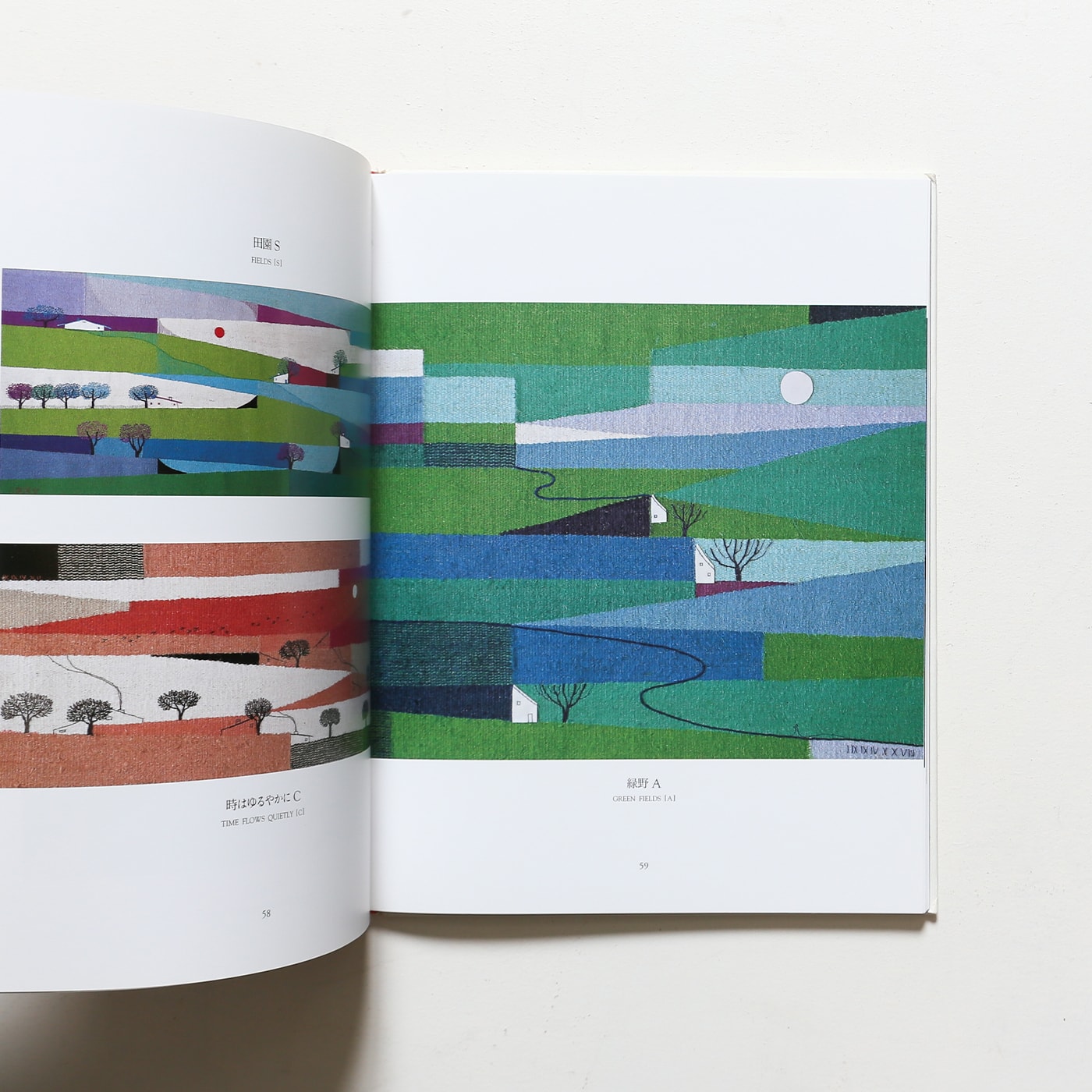Fabric Pictures Reiko Mori 糸とともに50年 | 森麗子 | nostos books 