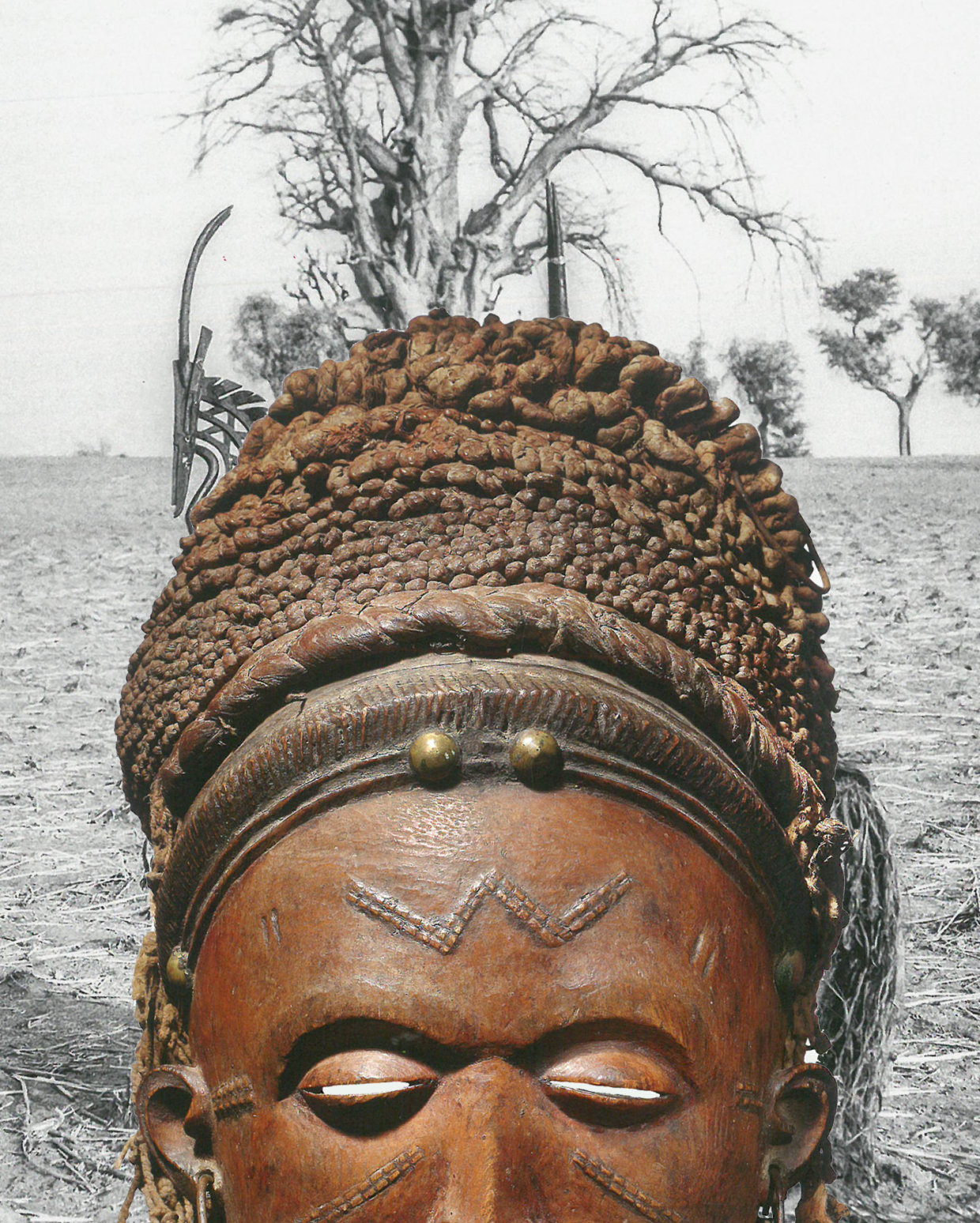 特集 | アフリカ