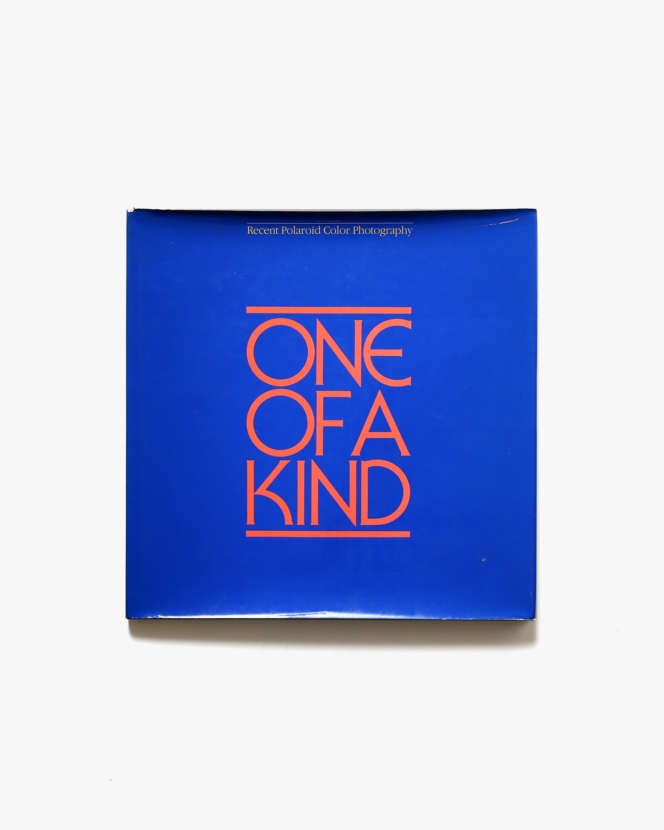 One of a Kind : Recent Polaroid Color Photography