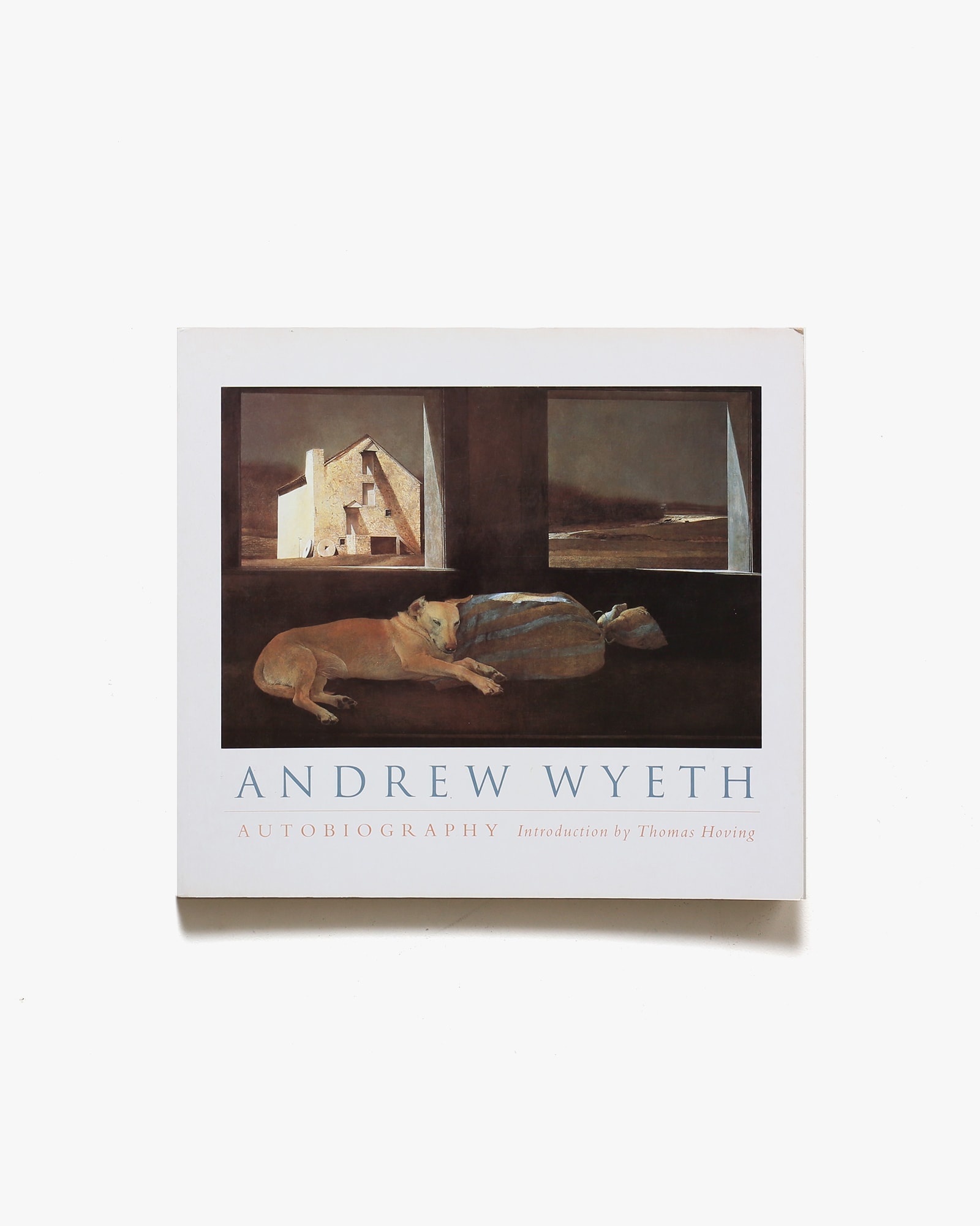Andrew Wyeth、WOODSTOVE、希少画集画、新品高級額