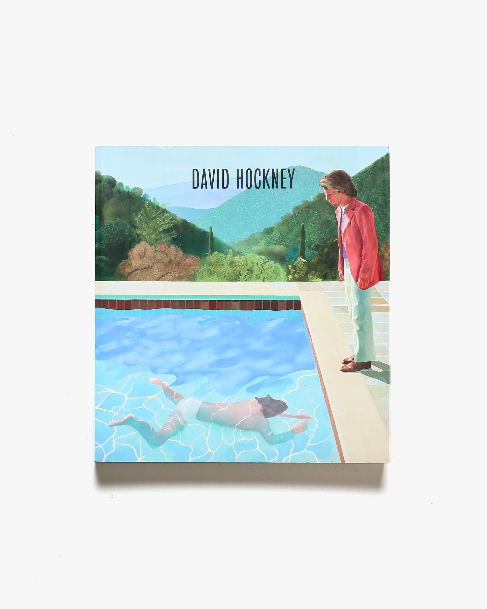 David Hockney | デイヴィッド・ホックニー | nostos books ノストス