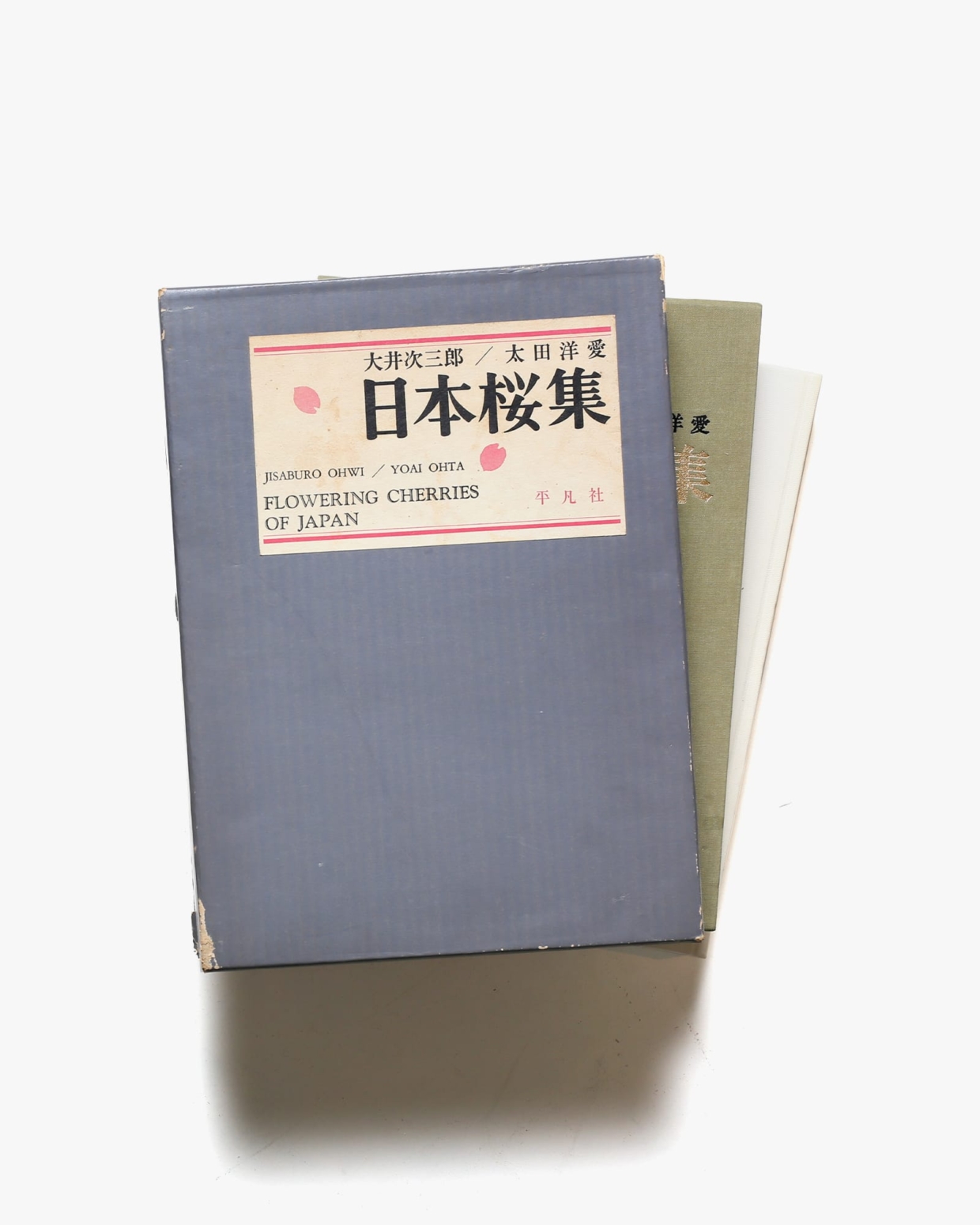 日本桜集 | 大井次三郎、太田洋愛