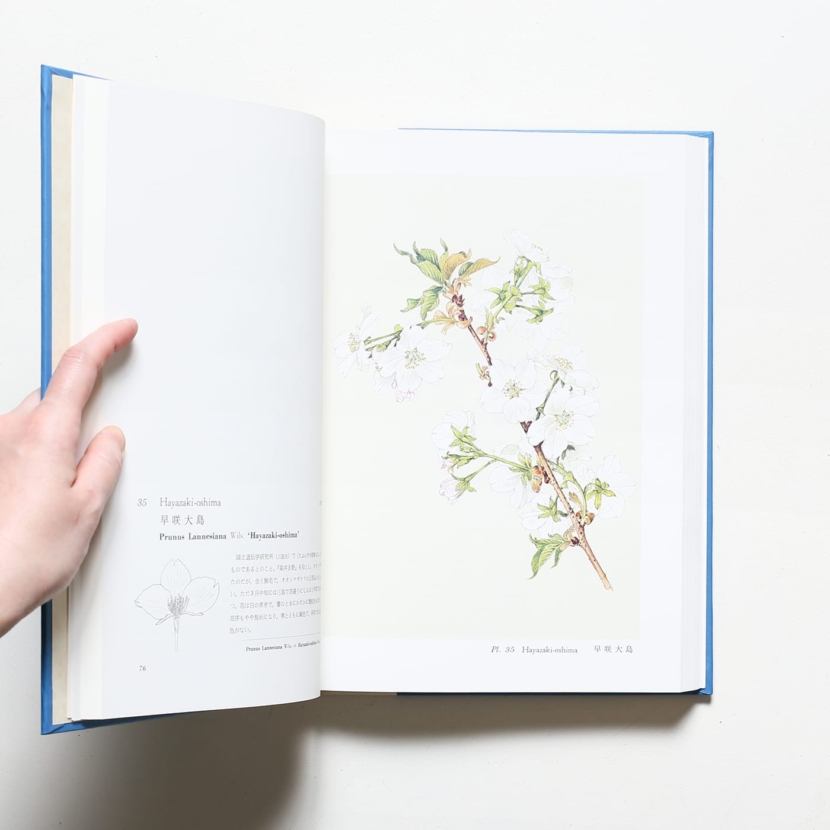 公式の 洋書◇1790年から1850年までの装飾芸術写真集 本 家具