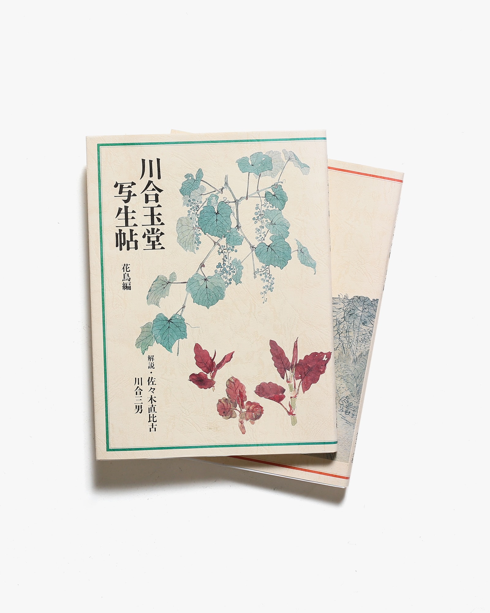 花鳥山水専科学1-5 5冊-