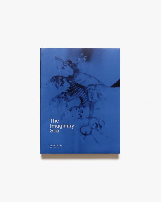 The Imaginary Sea | Chris Sharp、Filipa Ramos、Vincent Normand