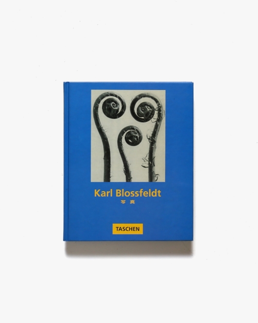 Karl Blossfeldt 写真 | カール・ブロスフェルト