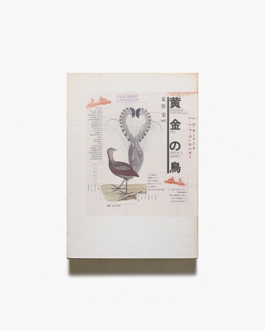 黄金の鳥 | 荒俣宏