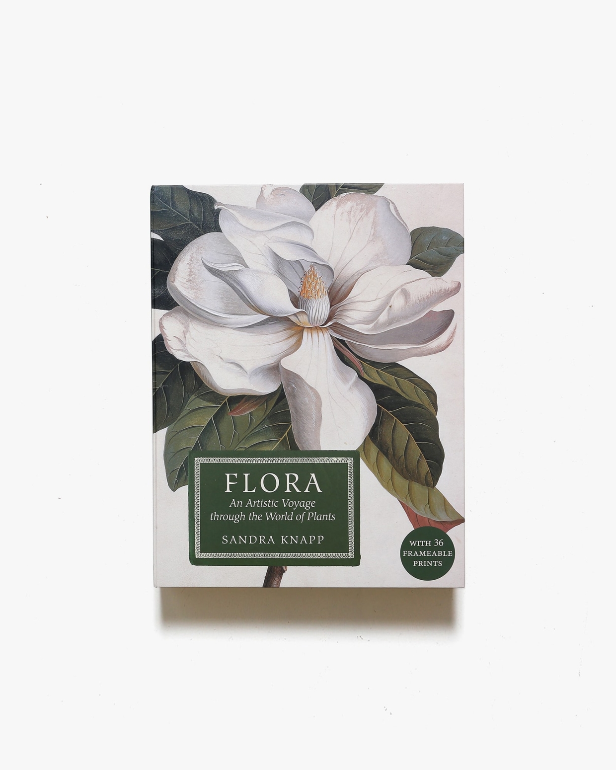 Flora: An Artistic Voyage Through the World of Plants