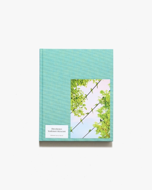 Yoshinori Mizutani: Des Oiseaux | Guilhem Lesaffre