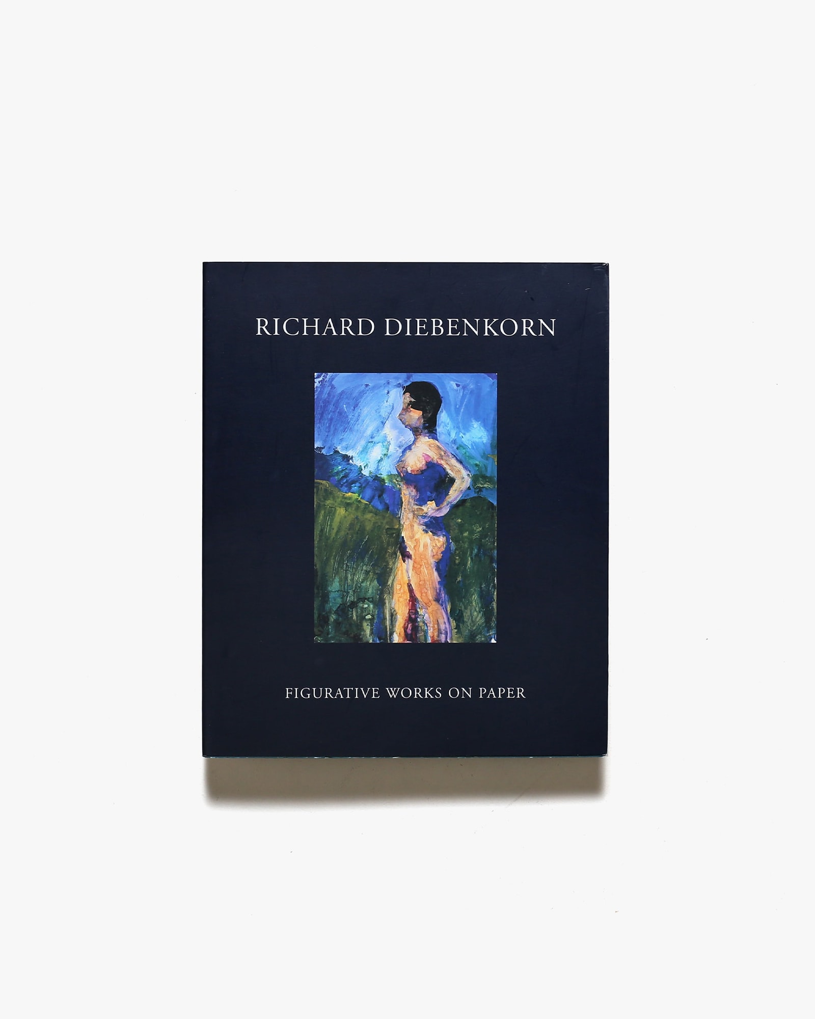 【公式初売】リチャード・ディーベンコーン、少女と植物、希少画集画、新品額装付、状態良好 、salt 人物画