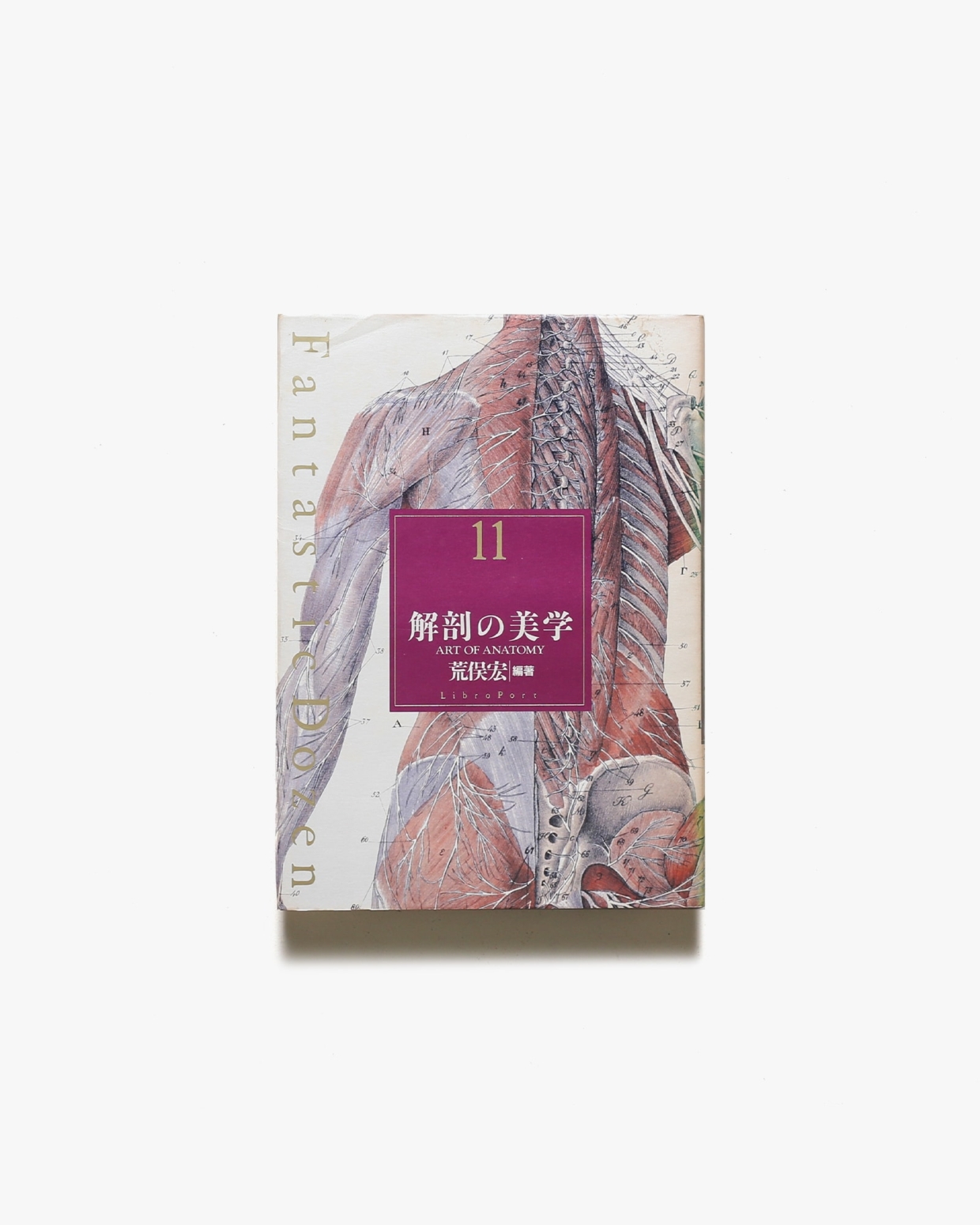 ファンタスティック12 第11巻 解剖の美学 | 荒俣宏
