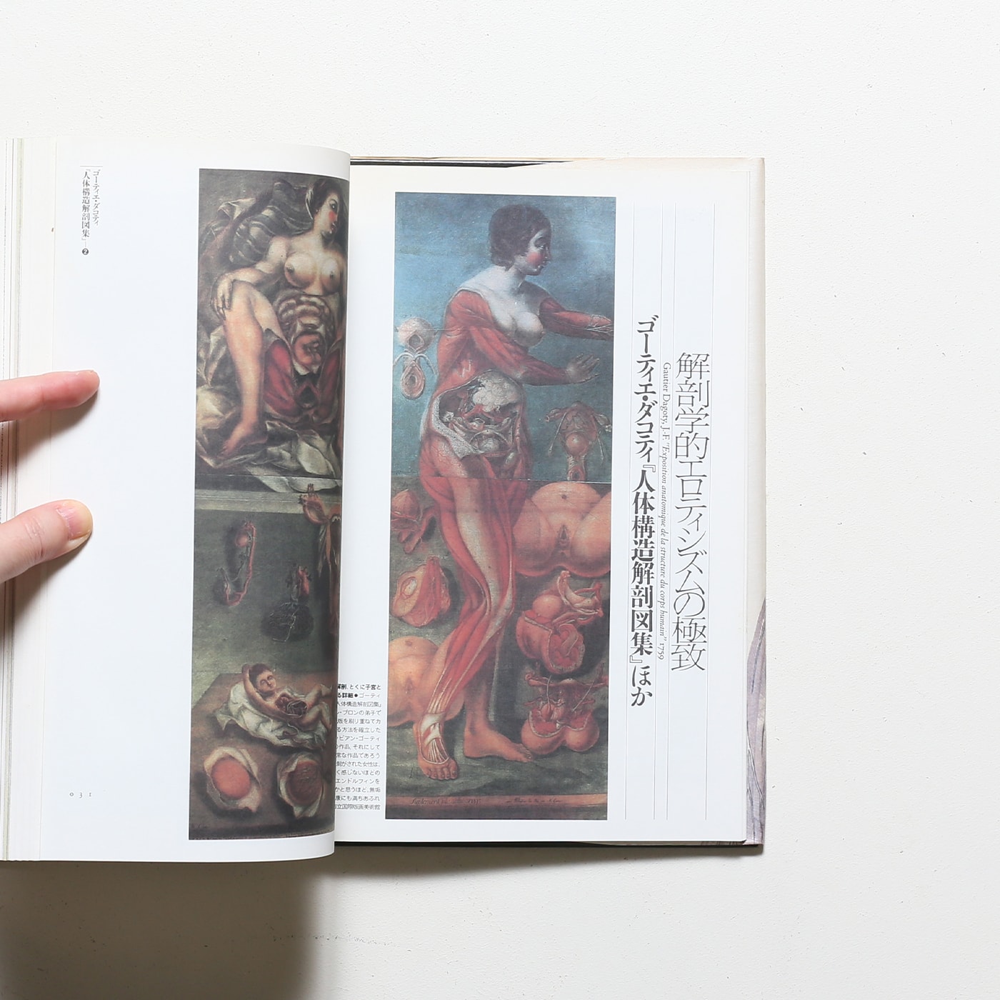 ファンタスティック12 第11巻 解剖の美学 | 荒俣宏 | nostos books 