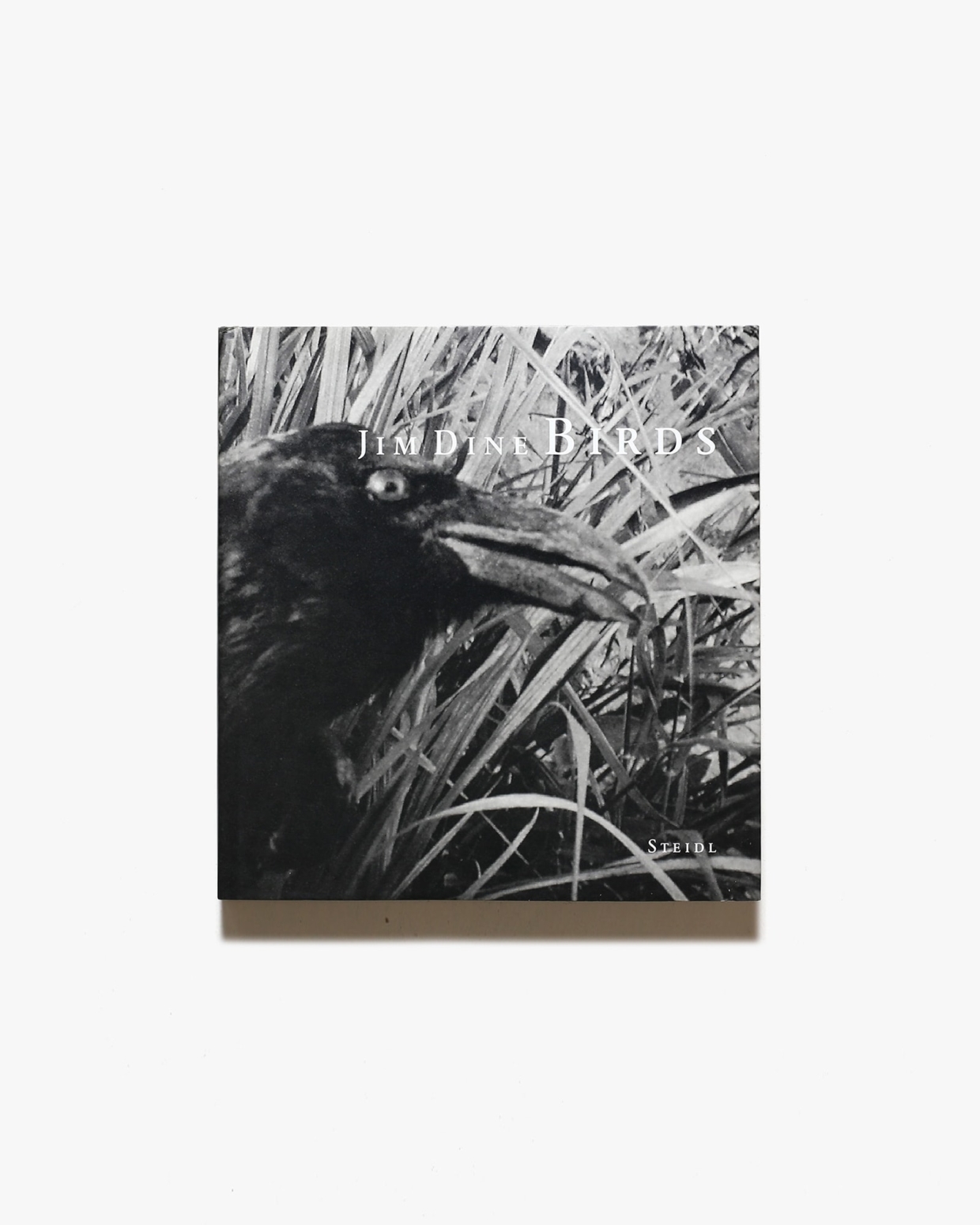 Birds | Jim Dine ジム・ダイン