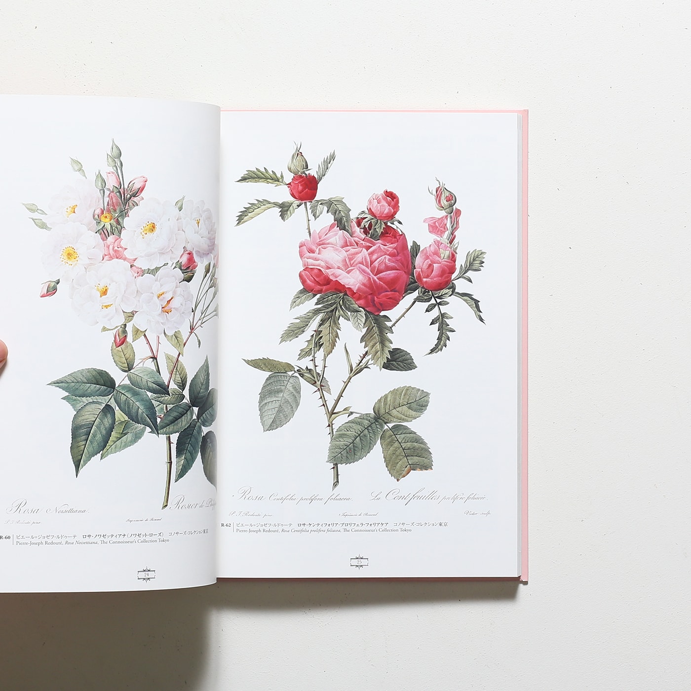 Bunkamura　ノストスブックス　nostos　books　花の画家　ルドゥーテ「美花選」展