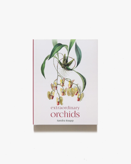 Extraordinary Orchids | Sandra Knapp