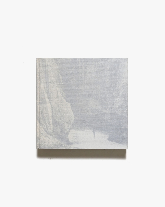 Shin Yanagisawa: Untitled | 柳沢信