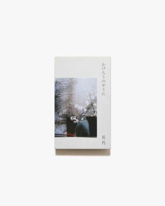 かげろうのやうに | 花代