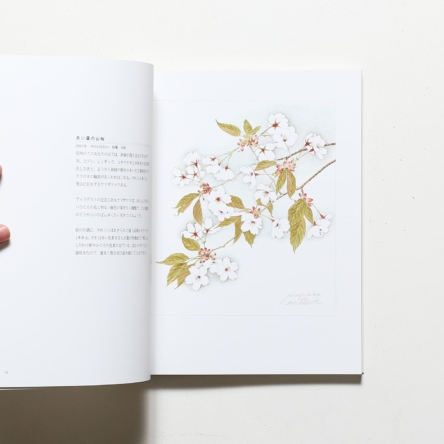 Tamamura Toyoo Flowers 玉村豊男花画集 | nostos books ノストスブックス