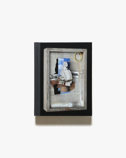 Birds of a Feather: Joseph Cornell’s Homage to Juan Gris | ジョゼフ・コーネル