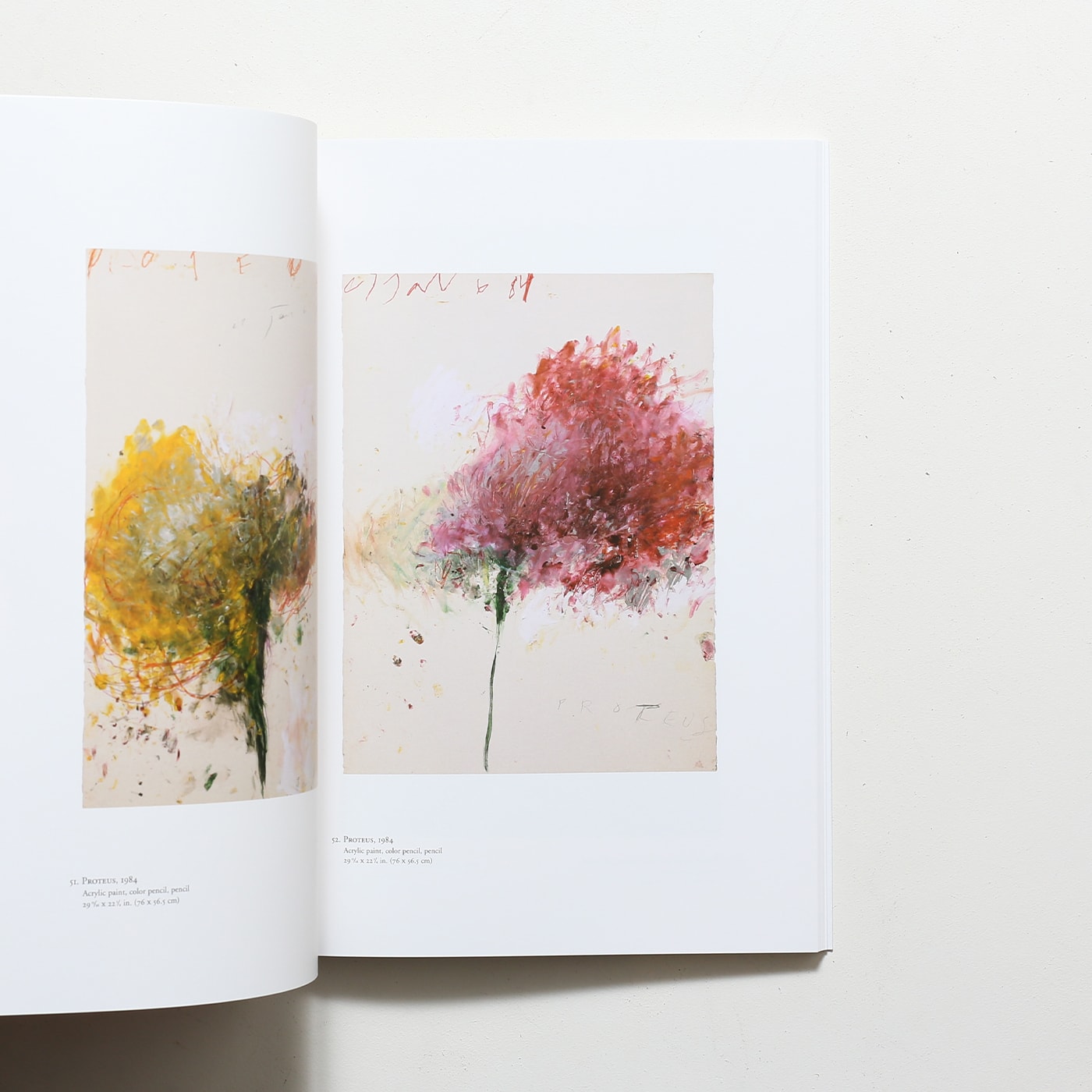 Cy Twombly: Fifty Years of Works on Paper