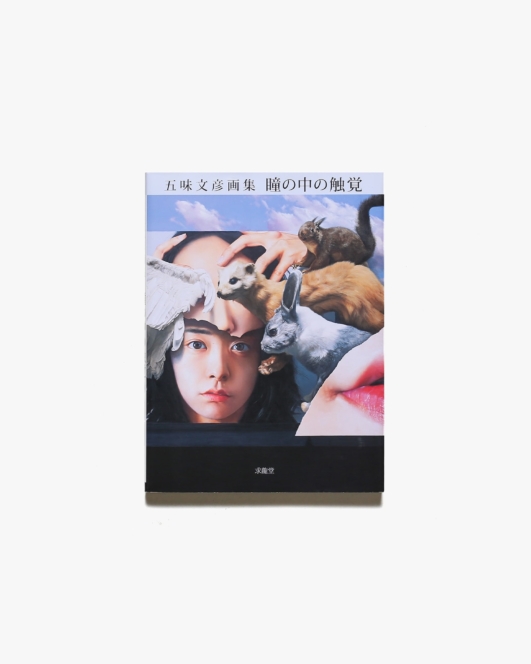 五味文彦画集 瞳の中の触覚 | 求龍堂