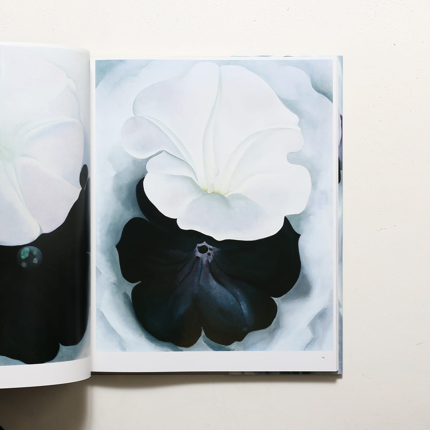 春のコレクション ジョージア・オキーフ オキーフ画集「花」大型版 