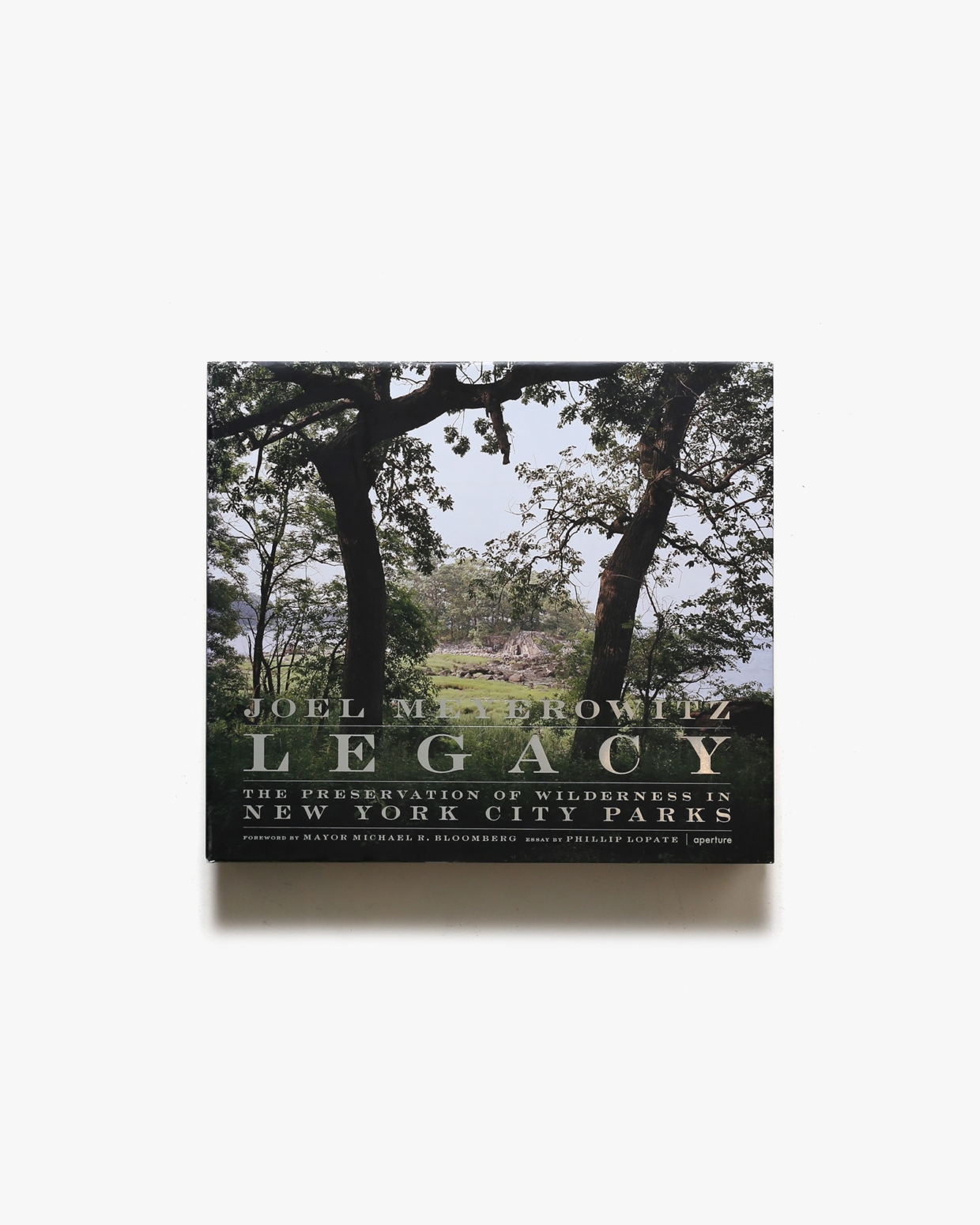 Legacy: The Preservation of Wilderness In New York City Parks | Joel Meyerowitz ジョエル・マイヤーウィッツ