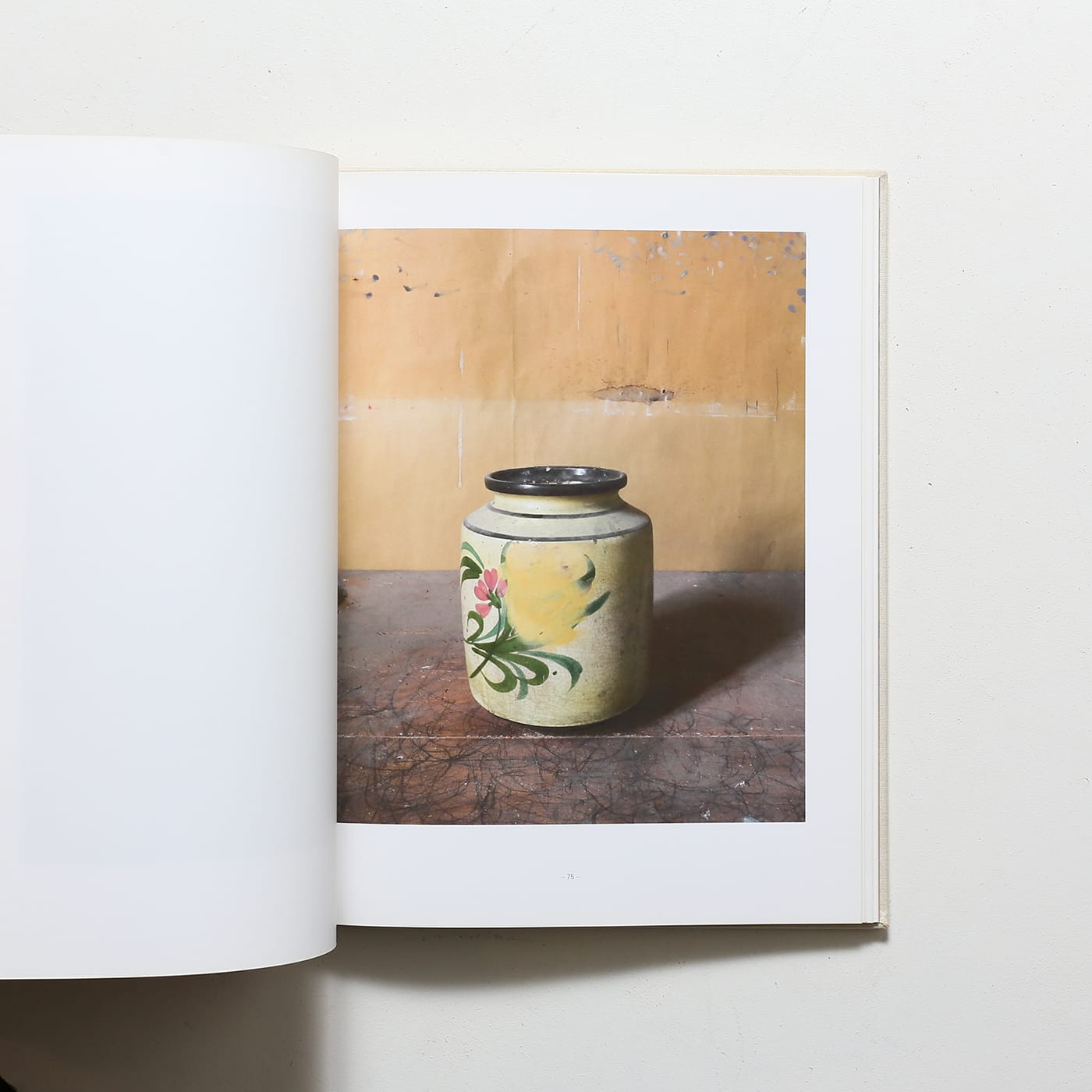 Joel Meyerowitz: Morandi’s Objects