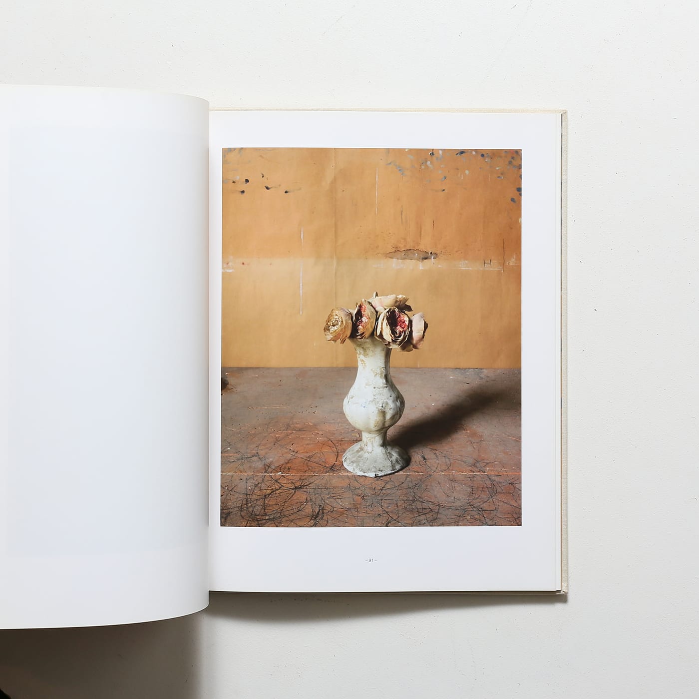 Joel Meyerowitz: Morandi’s Objects