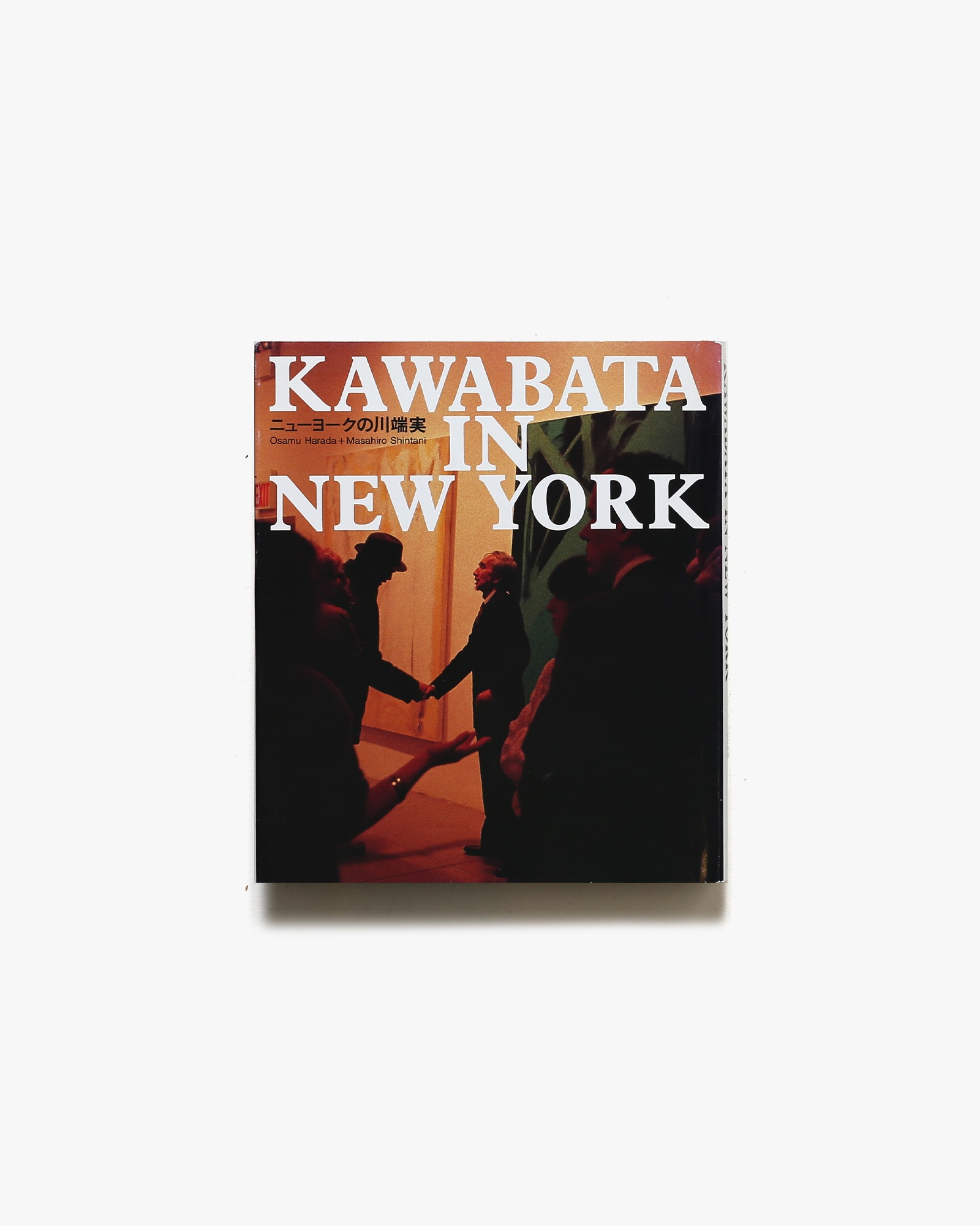 Kawabata in Neu York ニューヨークの川端実