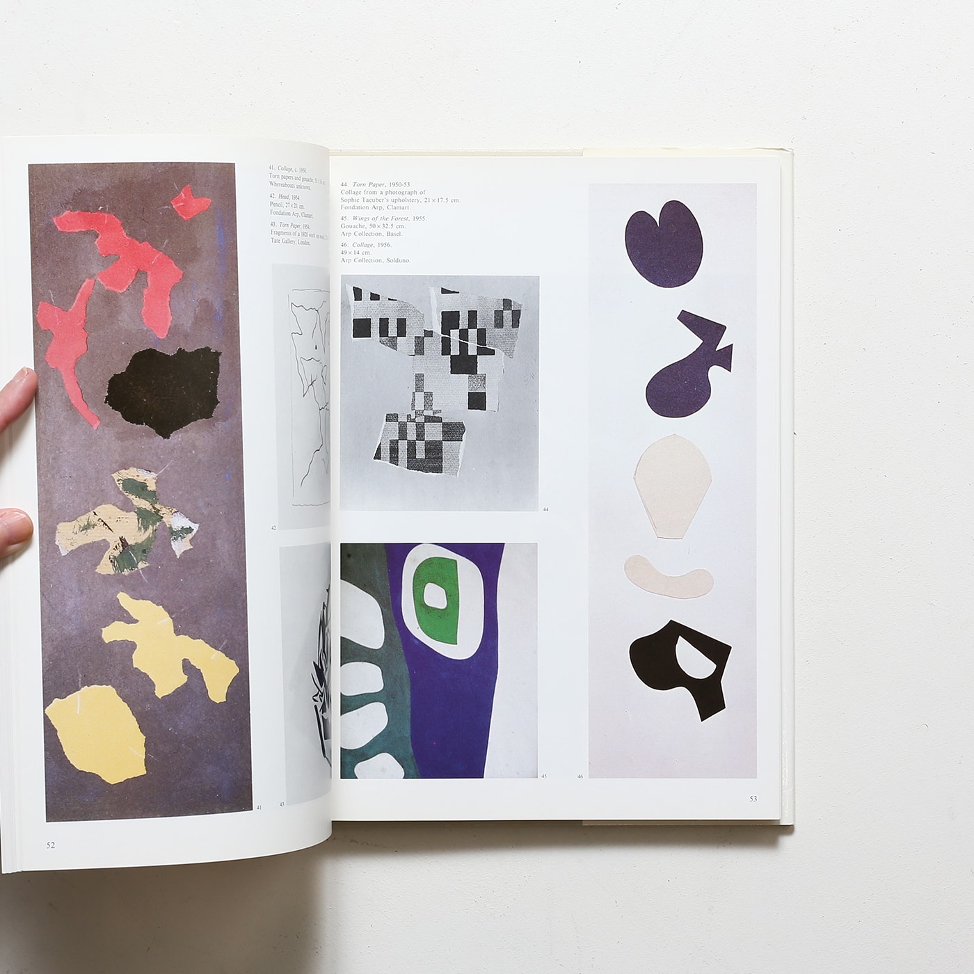 図録】ハンス・アルプ展 : Hans Arp:works from the collections of 