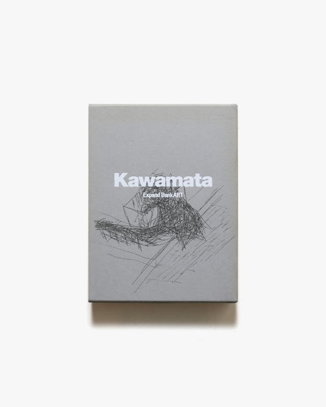 Kawamata Expand BankART | 川俣正