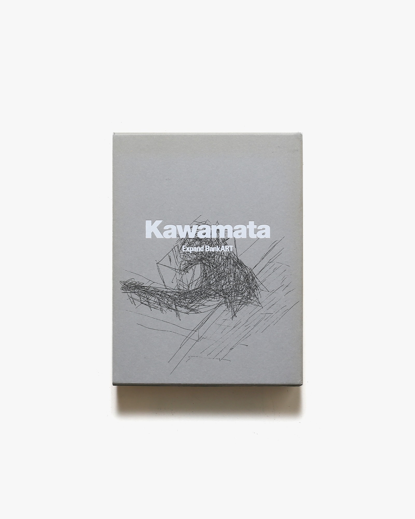 Kawamata Expand BankART | 川俣正 | nostos books ノストスブックス
