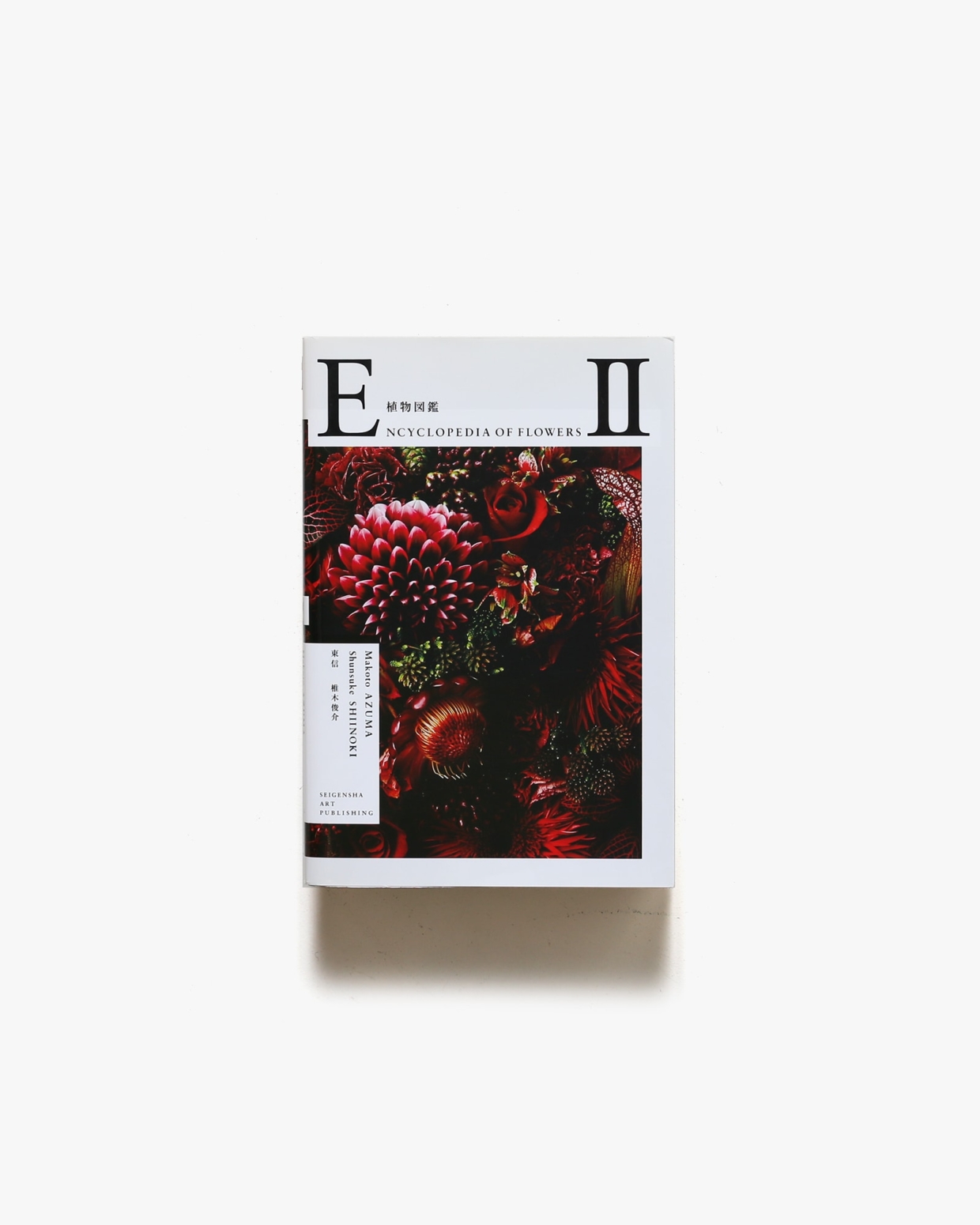 植物図鑑 Encyclopedia of Flowers II | 東信、椎木俊介