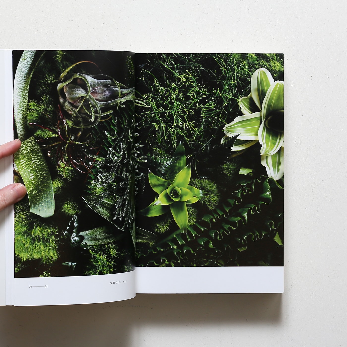 植物図鑑 Encyclopedia of Flowers | 東信、椎木俊介 | nostos books 