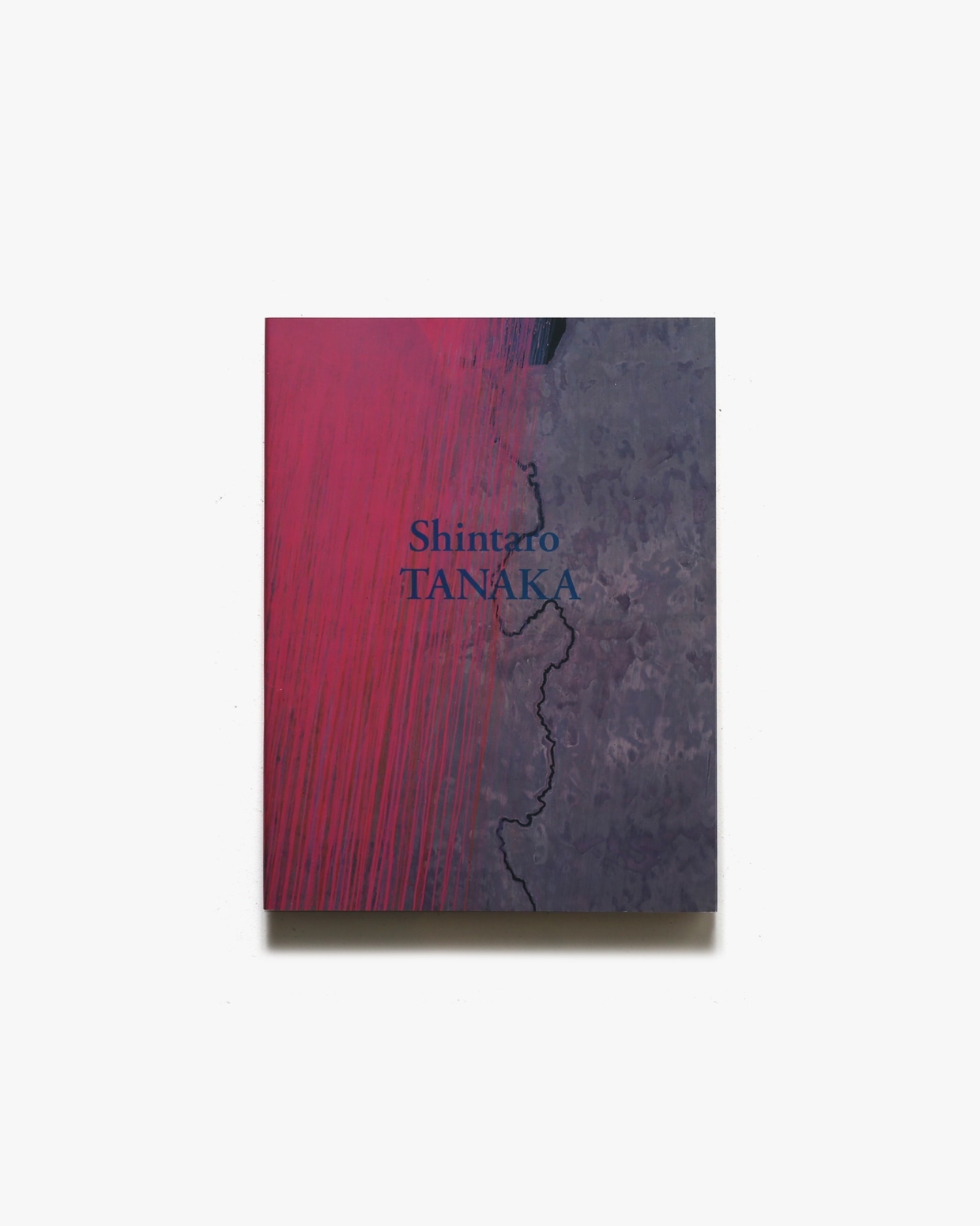 田中信太郎 Shintaro Tanaka 1946-2014 | BankART1929