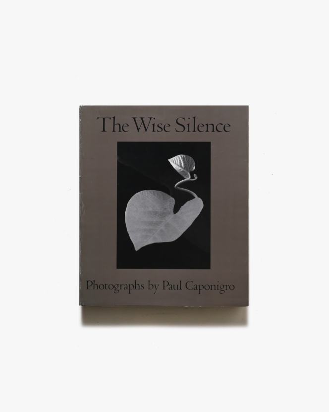 Paul Caponigro: The Wise Silence | ポール・カポニグロ