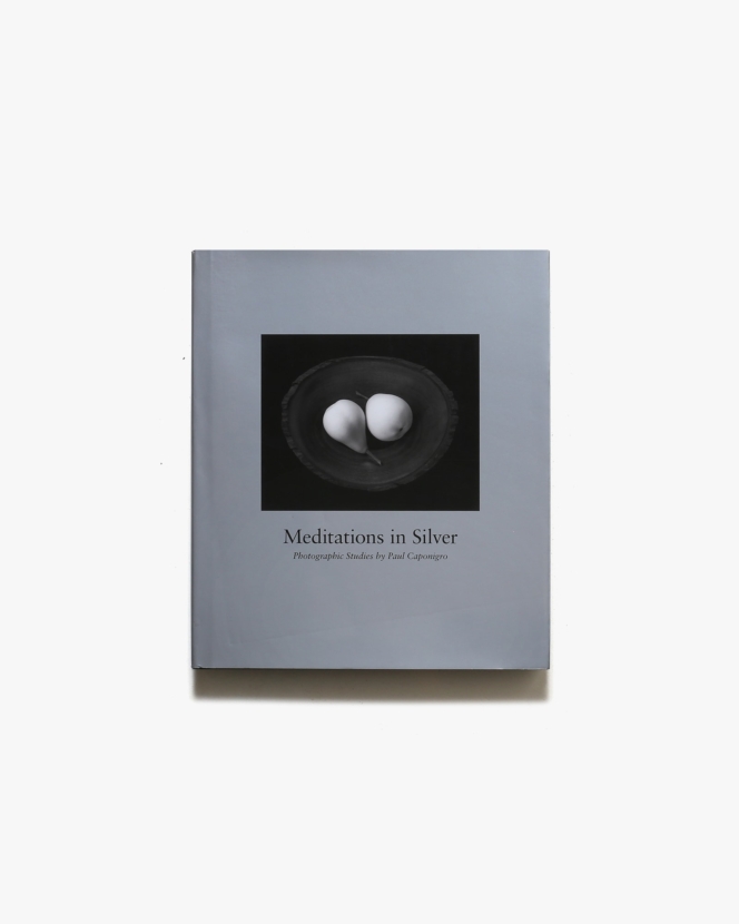Paul Caponigro: Meditations in Silver | ポール・カポニグロ