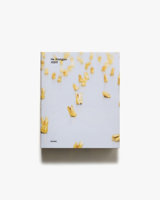 He Xiangyu 何翔宇 | Distanz