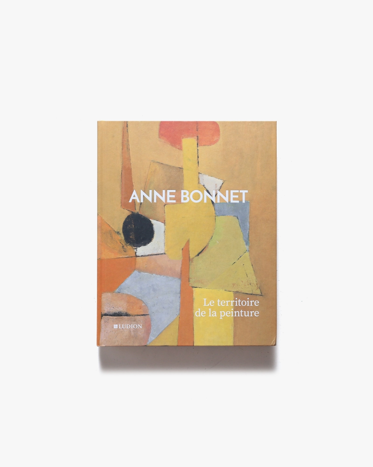 Anne Bonnet: Le Territoire de la Peinture | アン・ボネット