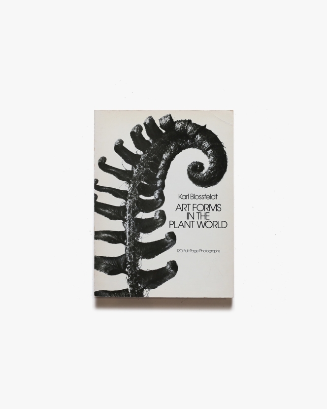 Karl Blossfeldt: Art Forms in the Plant World | カール・ブロスフェルト