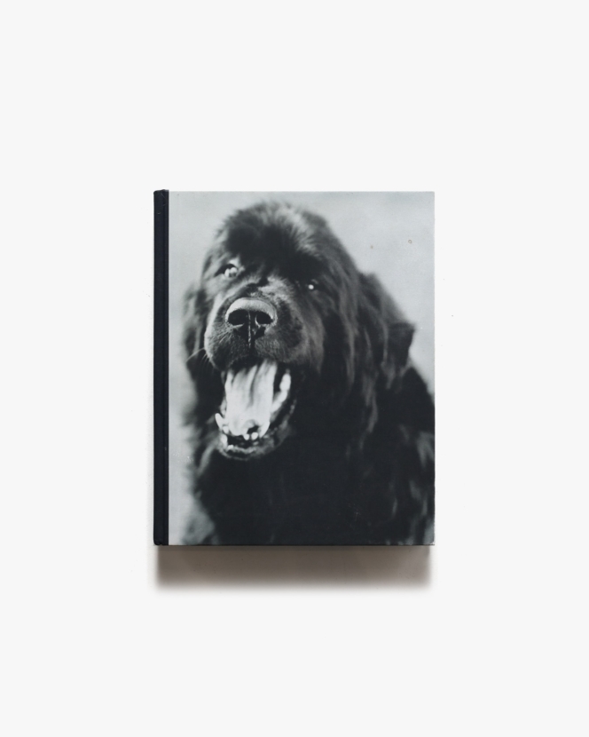 Gentle Giants: A Book of Newfoundlands | Bruce Weber ブルース・ウェーバー写真集