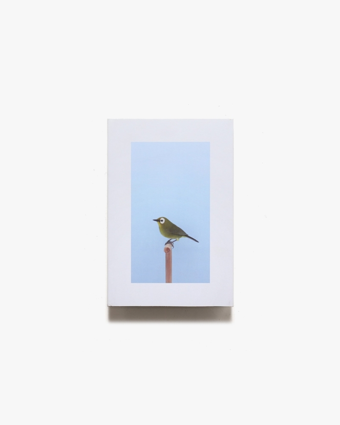 Luke Stephenson: An Incomplete Dictionary of Show Birds | ルーク・スティーヴンソン