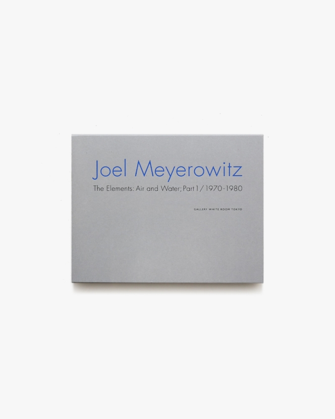 The Elements: Air and Water; Part 1 / 1970-1980 | Joel Meyerowitz