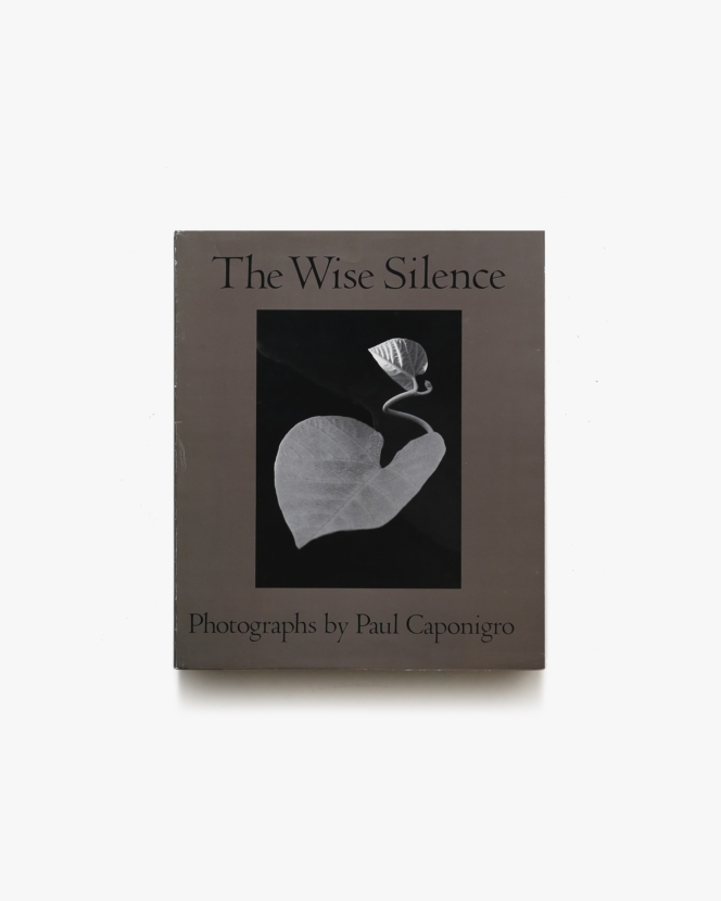 Paul Caponigro: The Wise Silence | ポール・カポニグロ