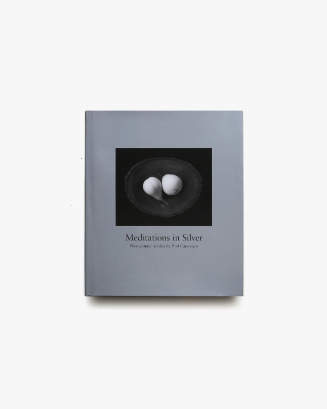 Paul Caponigro: Meditations in Silver | ポール・カポニグロ