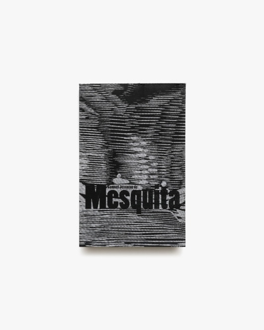 メスキータ展 Samuel Jessurun de Mesquita | 東京ステーションギャラリー